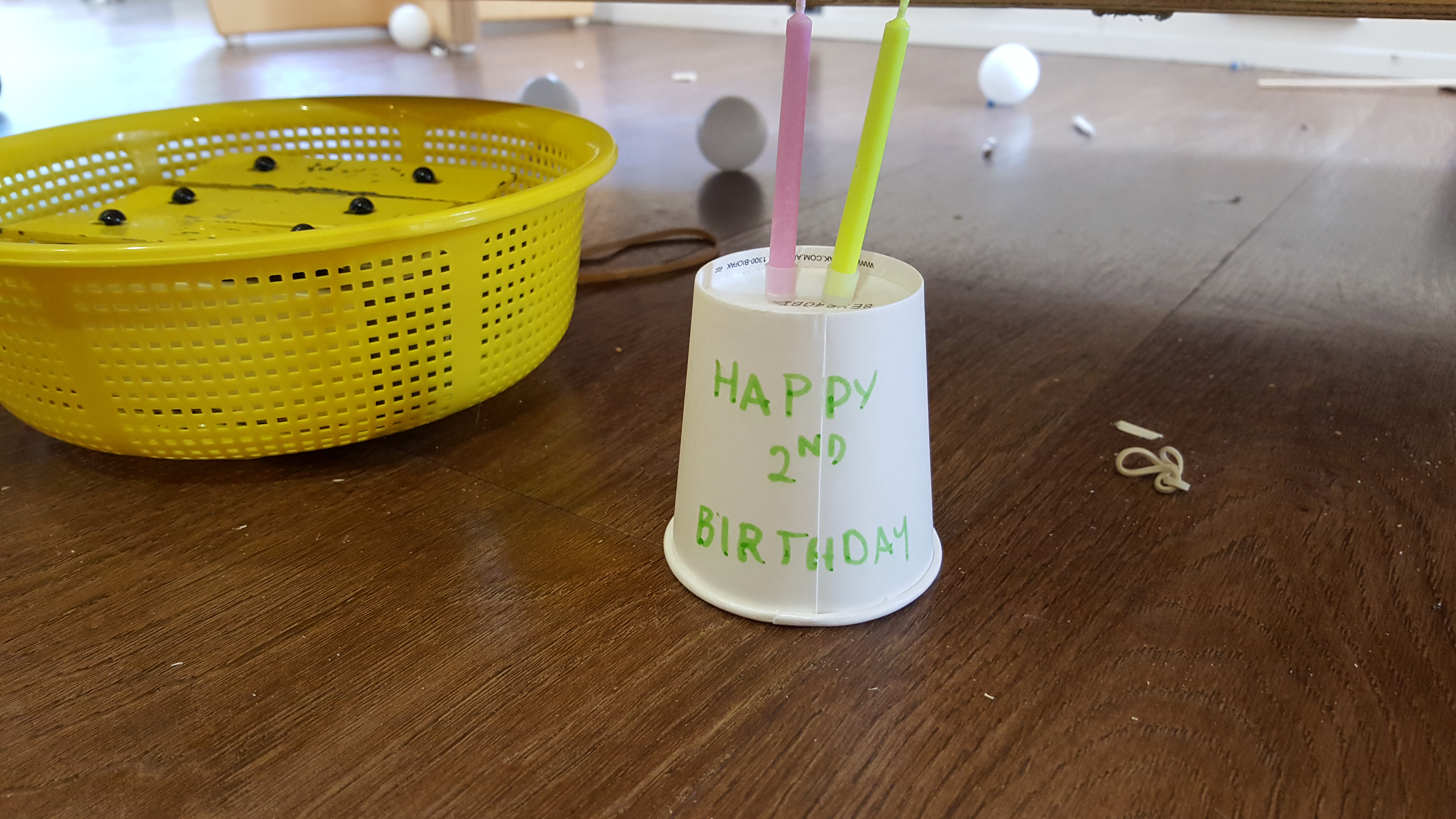 The Shed's 2nd Birthday blog