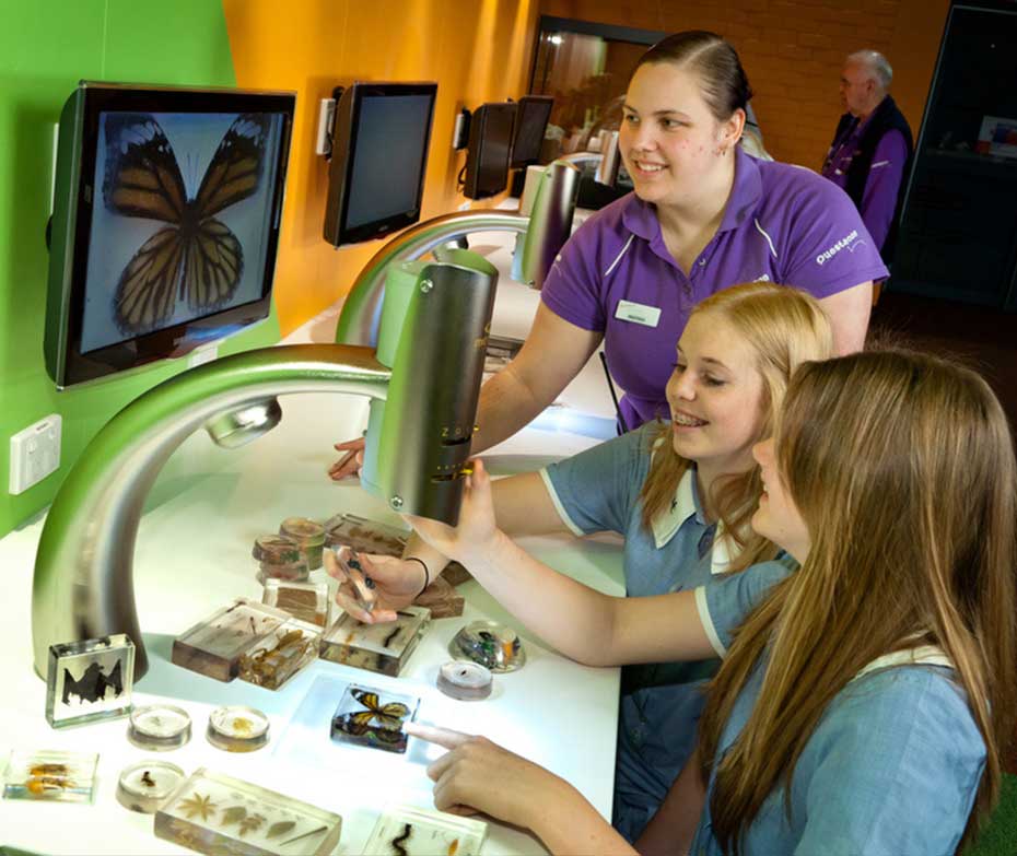 Two school girls looking at a butterfly under a microscope with a Questacon staff member looking on