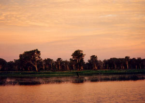 Sunset over Yellow Water in Kakadu