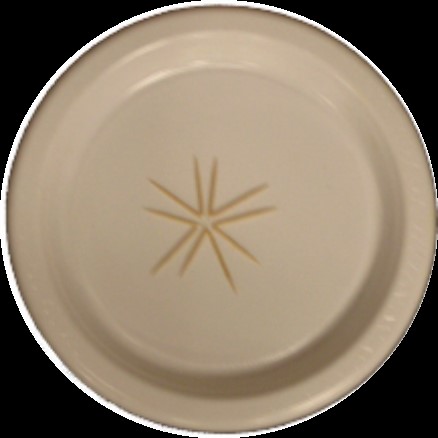 Toothpick star An image of 5 bent toothpicks on a plate