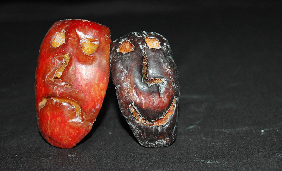 As most of the water has been removed from the salted apple, it should weigh less than it did a week earlier. The apple left unsalted should weigh almost the same as it did initially, since no water will have been removed. Two apple wedges with faces carved into them. The left apple is red and mouldy with a sad face. The right apple is black and withered with a smiley face.