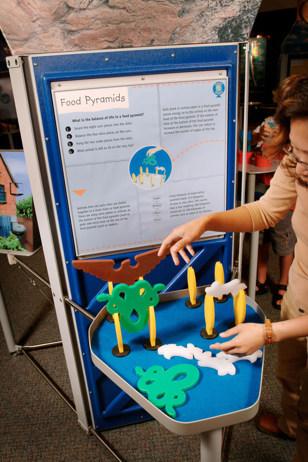 Food pyramids show the relative biomass of plants and prey compared to top predators. A blue and grey exhibit table and matching information panel with red, green, white and yellow plastic animal shapes on the table top.