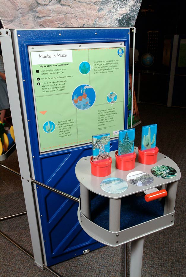 Plant adaptations allow them to cope with dry, wet, hot and cold conditions. A blue, green and grey exhibit table and matching information panel with red pots and pictures of plants on the front grey table.