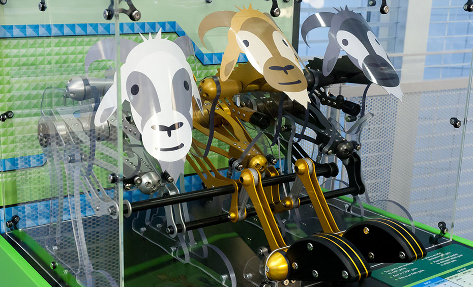 Press a series of hoof-pedals to make three goats nod their heads in various patterns. A white, gold and grey coloured mechanical goats sitting on a green and blue exhibit table.