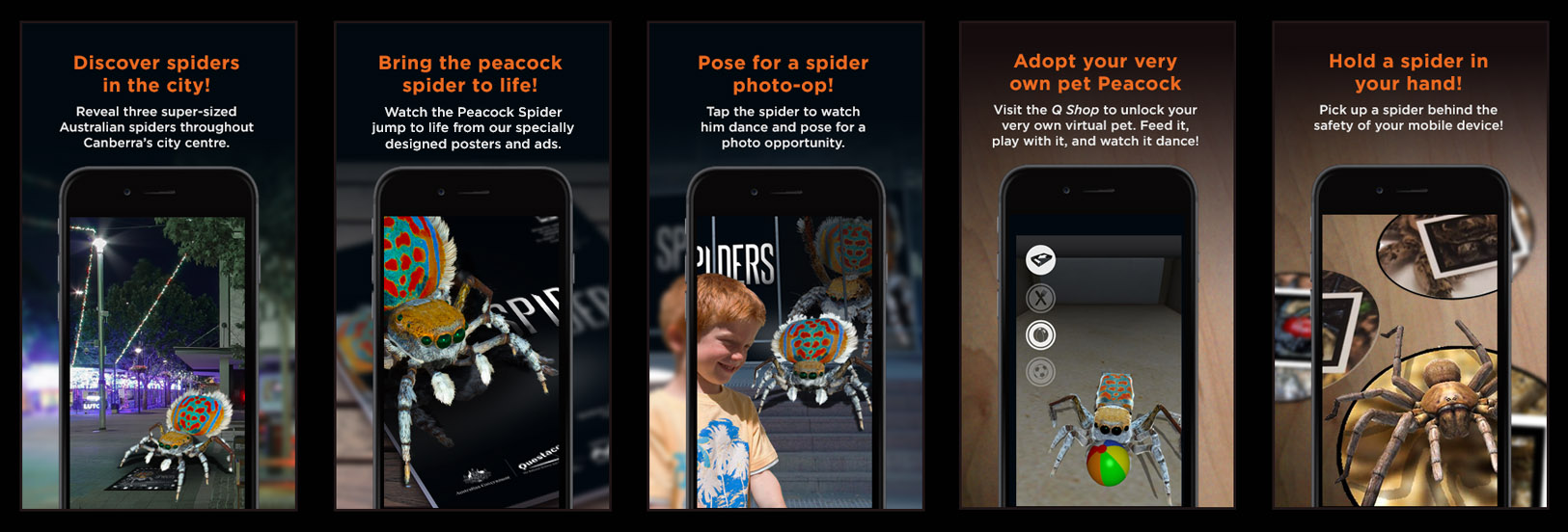Various screenshots of the spiders app.