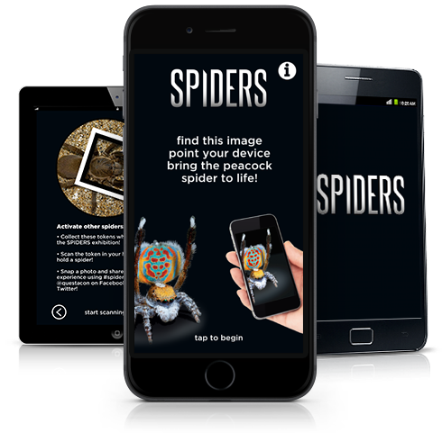 images of the spiders app on various mobile devices