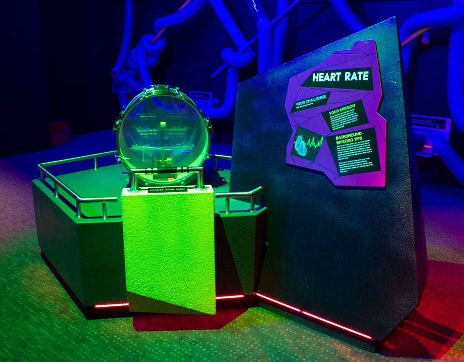 Simply grip the silver bar with both hands. Listen to the drum beat in response to your heart rate and see your heart rate as beats per minute on the LCD display. A kit drum with a stainless steel handle and green support in front. To the right is a purple infomation sign with the words 'Heart Rate'
