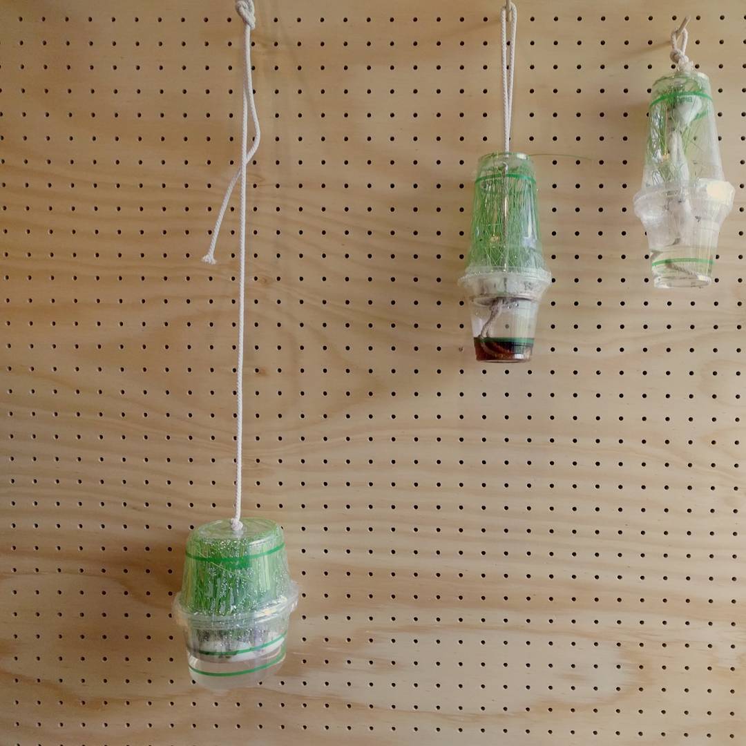 Three terrariums hung from a pegboard