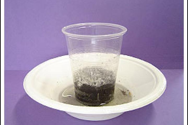 rising_water_table_lowres.jpg