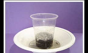 Rising Water Table | Questacon - The National Science and ...