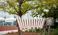 a xylophone in front of a green tree with a white building in the background.
