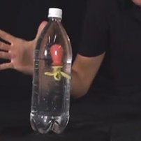 A soft drink bottle with water inside and a floating object.